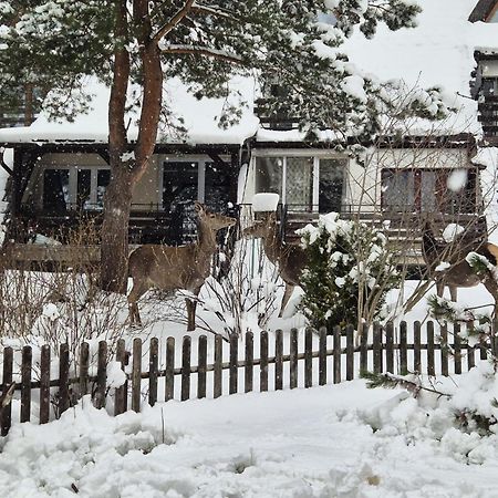 Apartament Wokol Stolu Закопане Экстерьер фото